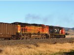 BNSF 4080